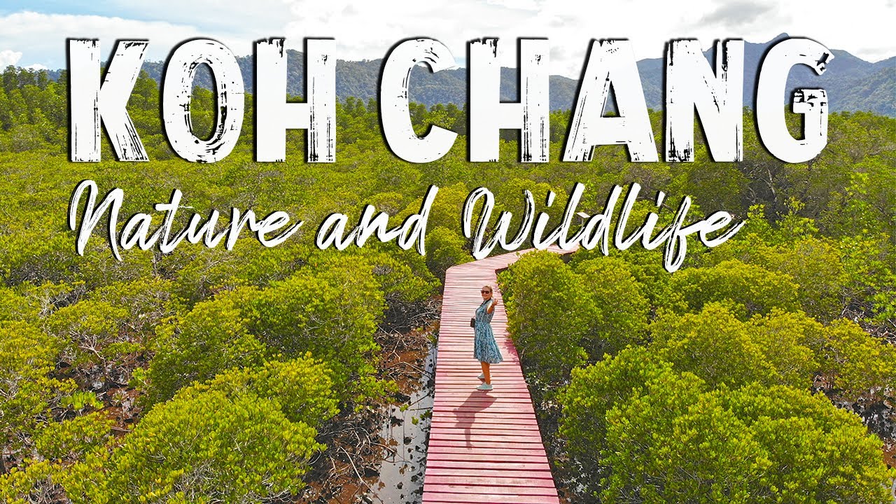 🔴Koh Chang - Nature, Mangroves and Birding 4K | Nathalie’s World