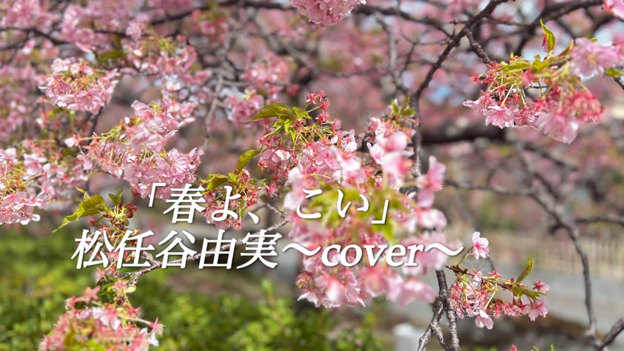 「春よ、こい」松任谷由実〜cover〜