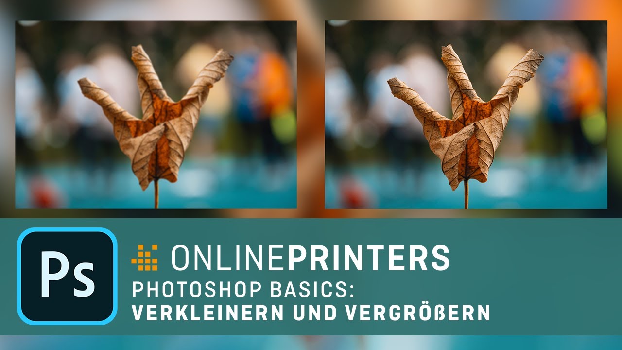 In Photoshop Bilder verkleinern und vergr&ouml;&szlig;ern &ndash; Basics Tutorial