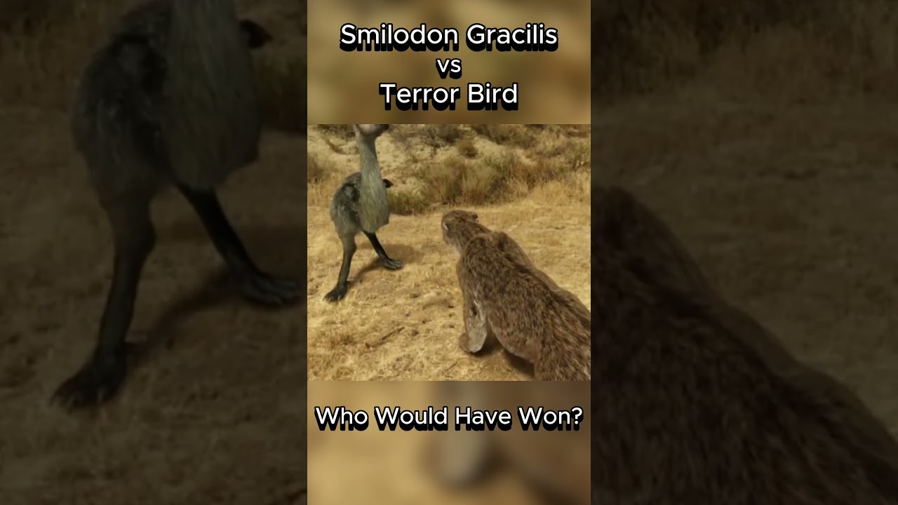 Smilodon Gracilis vs Terror Bird #smilodon #terrorbird #fight