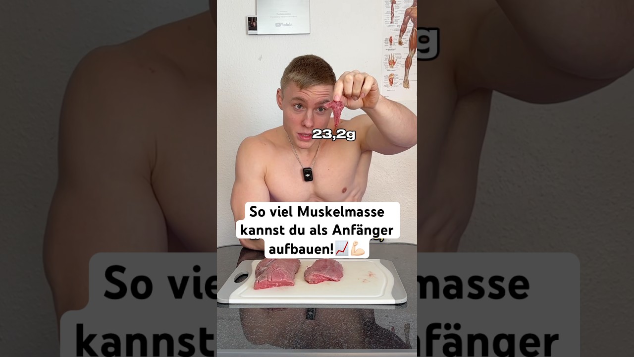 So viel Muskelmasse kannst du als Anf&auml;nger aufbauen! #gym #fitness #muskelaufbau #fakten