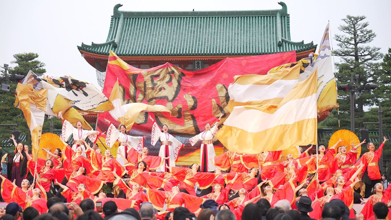 [4K] 京都よさこい連 心粋 【特別賞披露演舞】　京都さくらよさこい 2024 さくよさ 2日目 神宮道会場