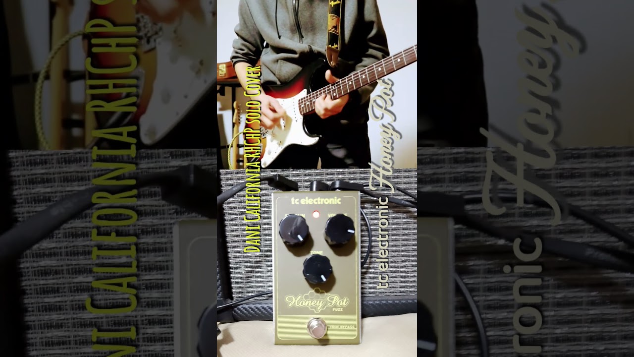Dani California Cover/Fuzz tc electronic Honey Pot 