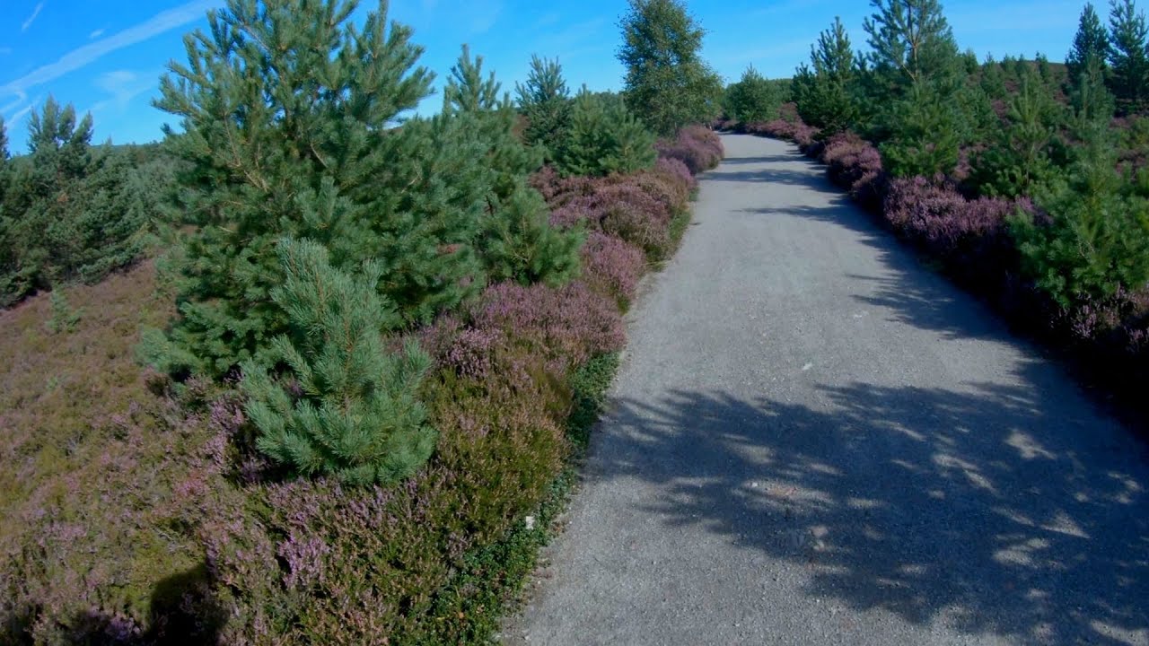 Hiking 28km on the Speyside Way: Aviemore to Grantown-on-Spey