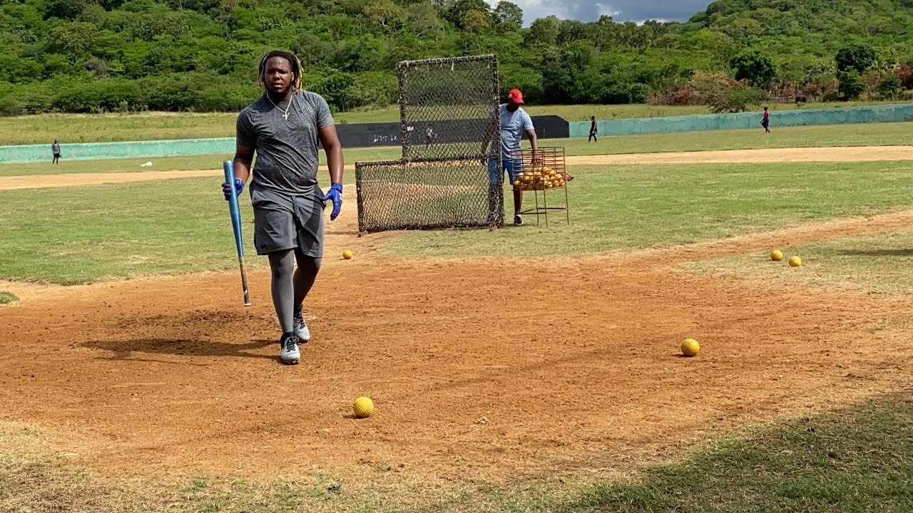 Vladimir Guerrero Jr. - Práctica De Bateo | Pega 15 HOME RUN De 20 Pelotas 🔥