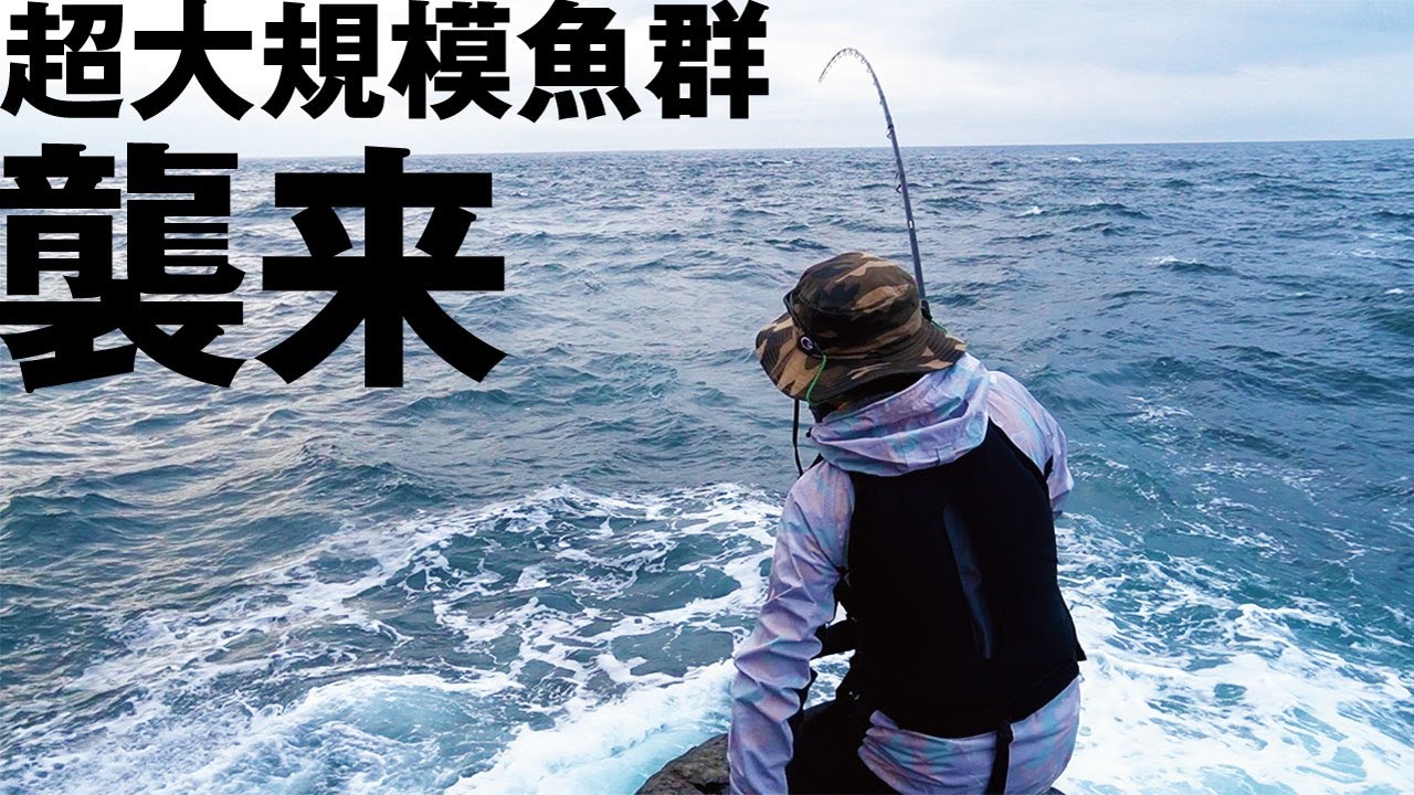 入門向けリールで青物を狙いに行った結果…とんでもない数の青物が襲撃してきた！！