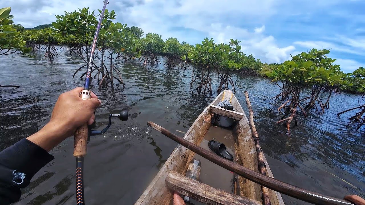 MANGROVES FISHING 