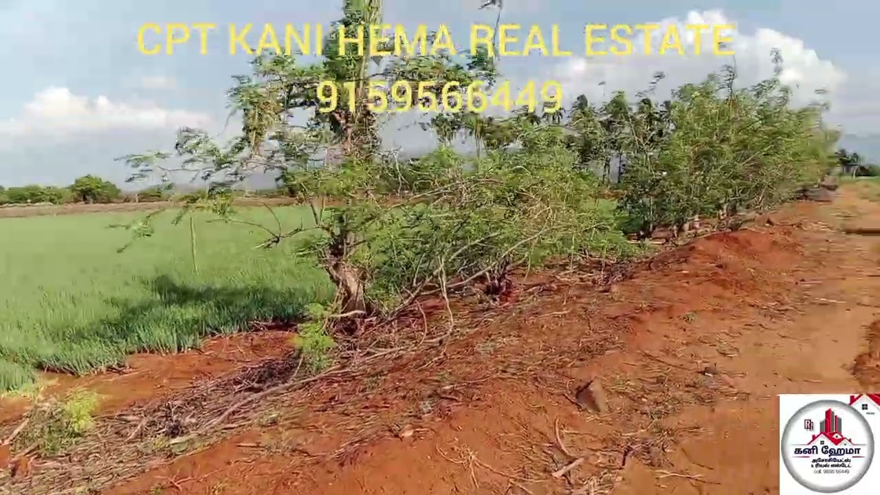 (9159566449)திண்டுக்கல் மாவட்டம், ஒட்டன்சத்திரம் அம்பிளிக்கை அருகே செம்மண் நிலம் விற்பனைக்கு உள்ளது