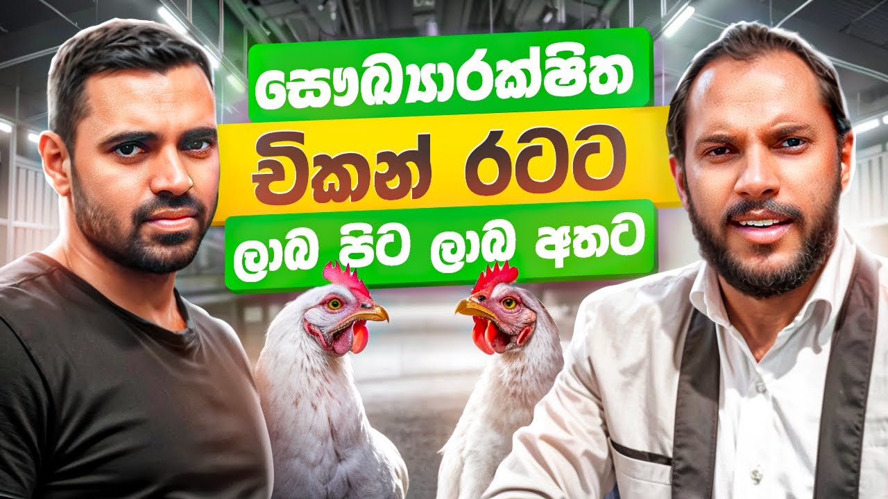 අතට සල්ලි මවන බ්‍රොයිලර් කුකුළු පාලනය | Milmolac | Broiler Chicken Farming Sri Lanka