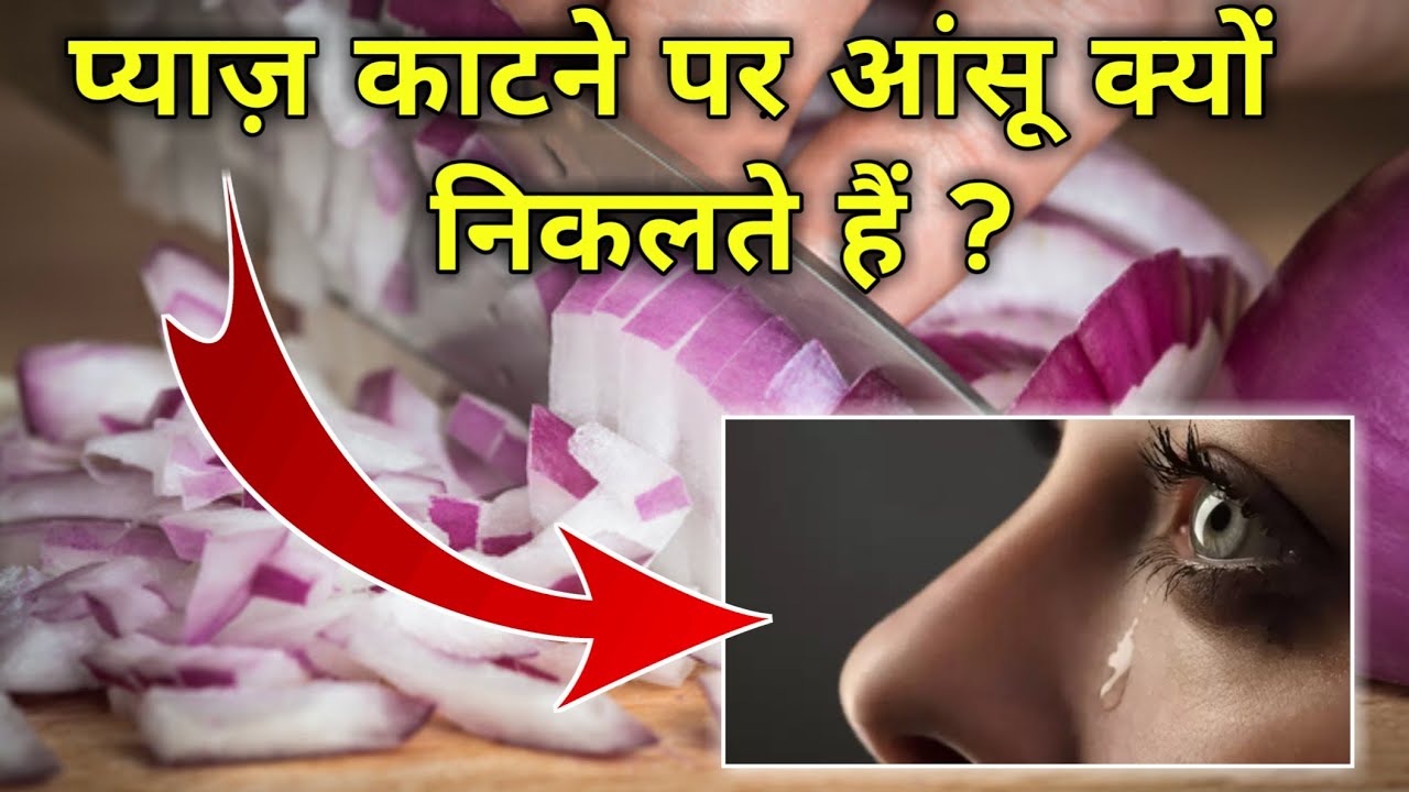 प्याज़ काटने पर आंसु क्यों निकल आते हैं?। Interesting facts। Shahruddin khan। Fact wala। #facts