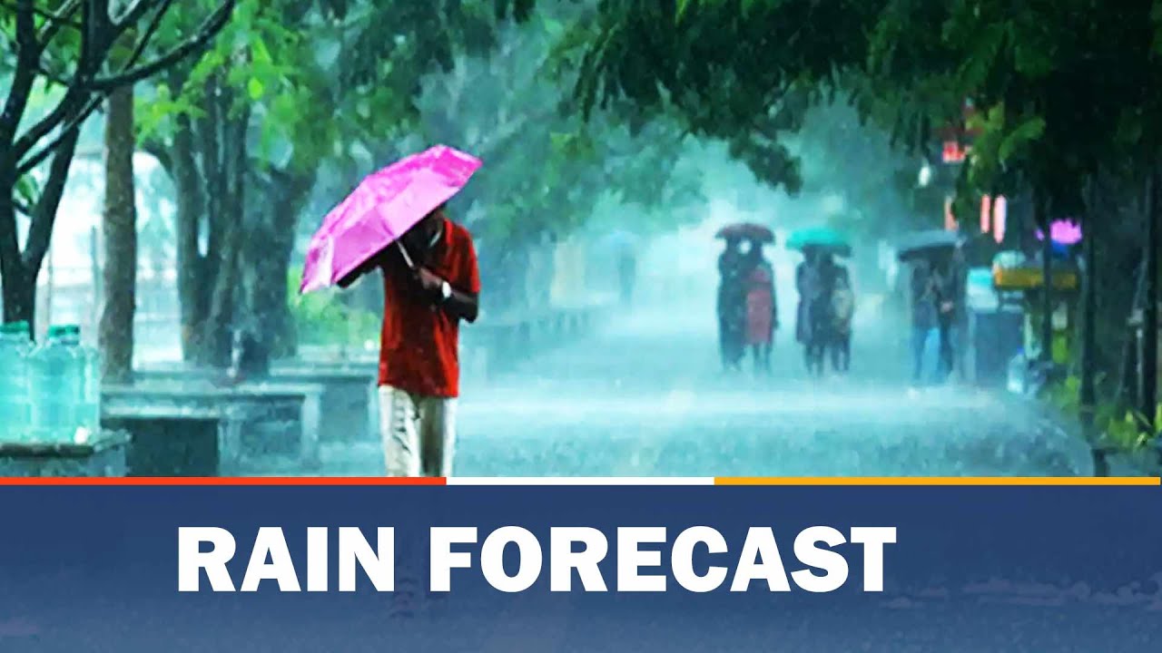 IMD Predicts Rain, Thundershower In Odisha | OTV News