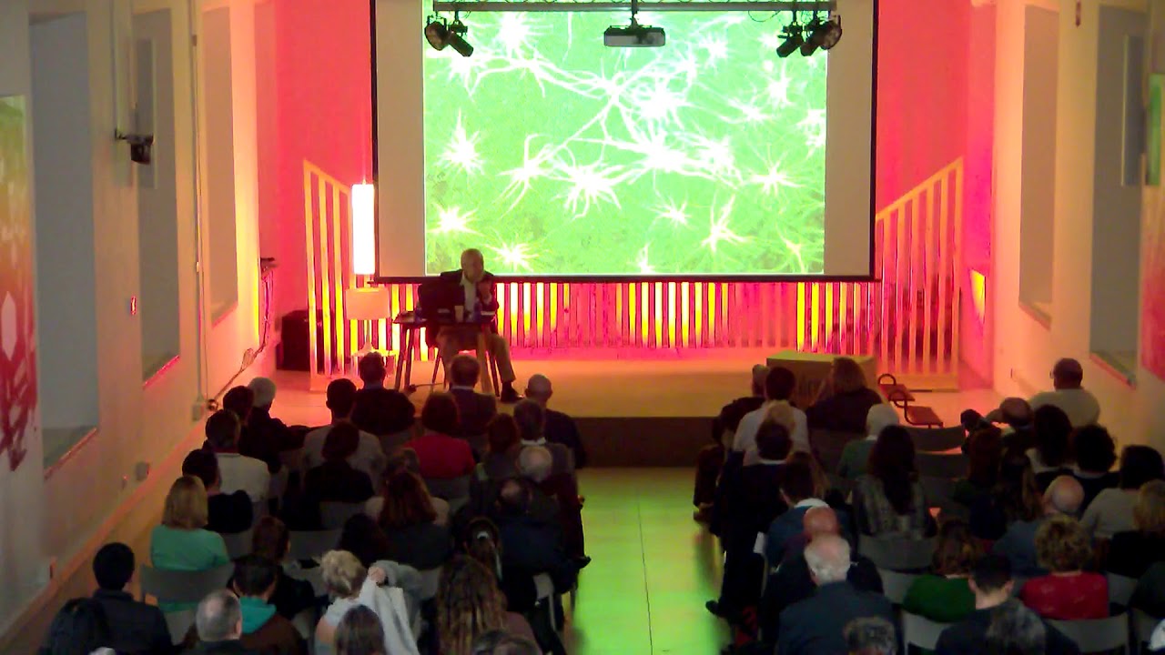 El cerebro humano: una perspectiva evolutiva. Con Francisco Mora Teruel