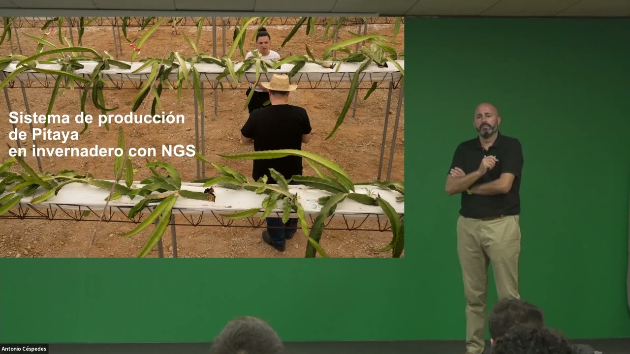 Sistema de producción de pitaya en invernadero con NGS | Mesa de debate