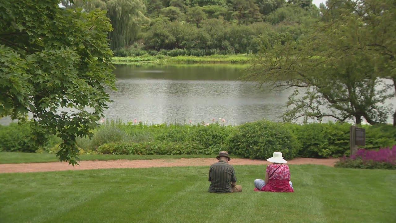 How nature can nurture your mental health