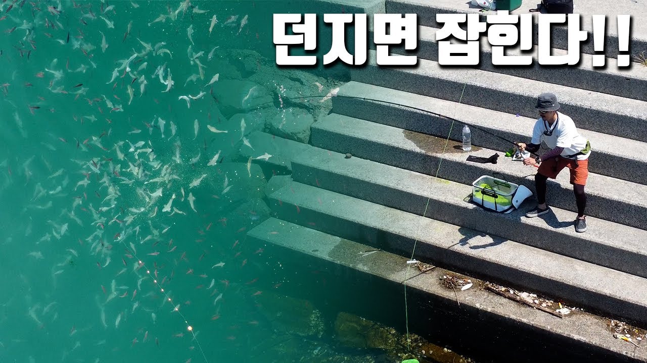 조용한 방파제 앞에 펼쳐진 엄청난 광경!!! 이런 날이 오다니...!