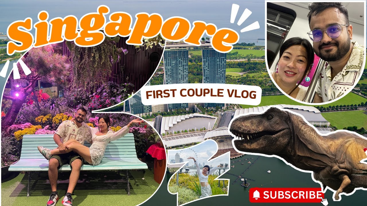 I had a Singapore layover and he came with me on my flight #singaporevlog #vlog #singapore #travel