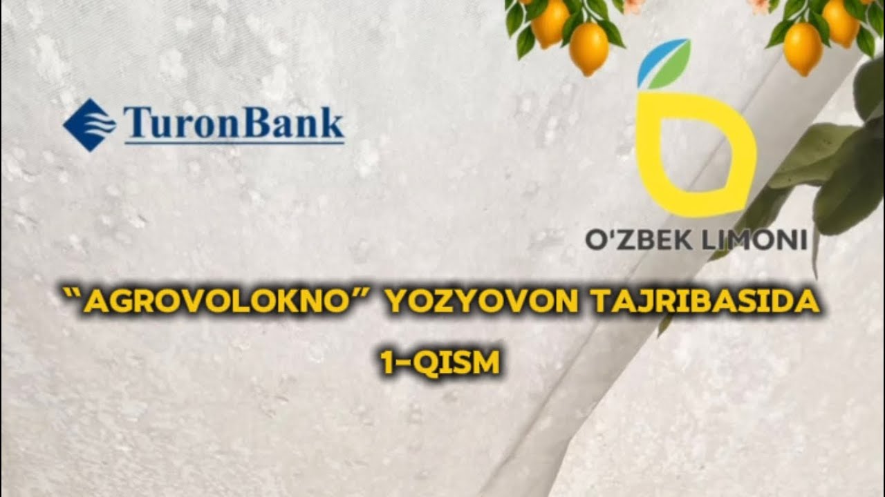 “AGROVOLOKNO” Yozyovon tajribasida