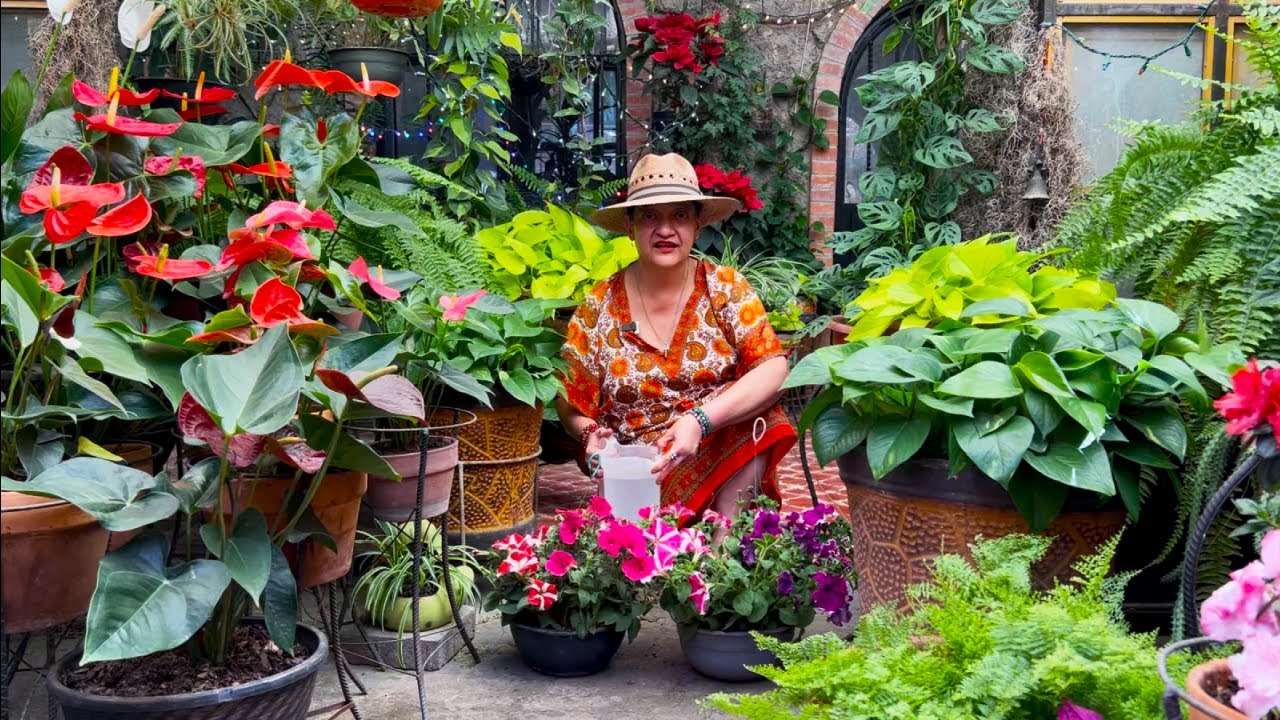 Un clásico: Tener PETUNIAS y trasplantarlas, me preparo para la PRIMAVERA