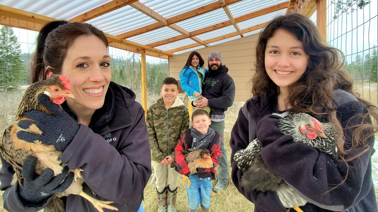 This Victory Is Extra Sweet | Finishing Our DIY Chicken Coop | How To Build A Chicken Coop