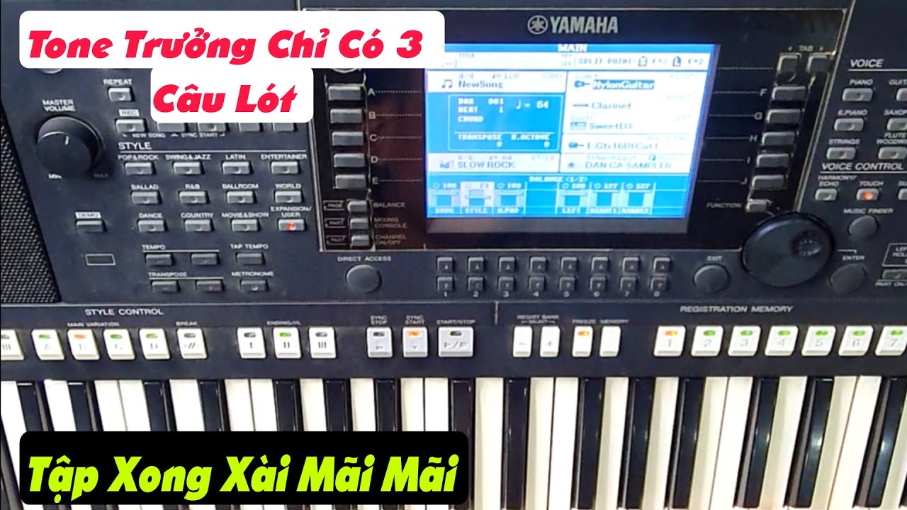Hoa Trinh Nữ | Câu Lót Tone Trưởng | Mẹo Đệm Hát