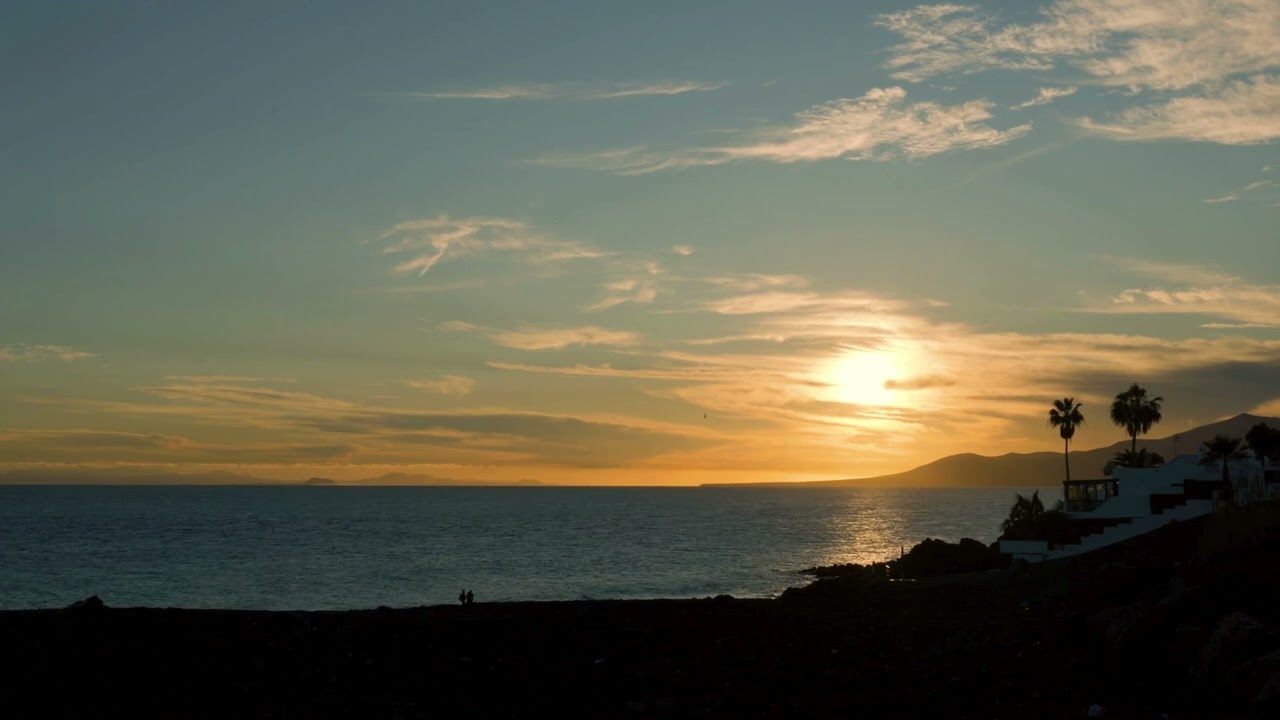 Island Pulse | Modern Reggae Fusion For Good Mood