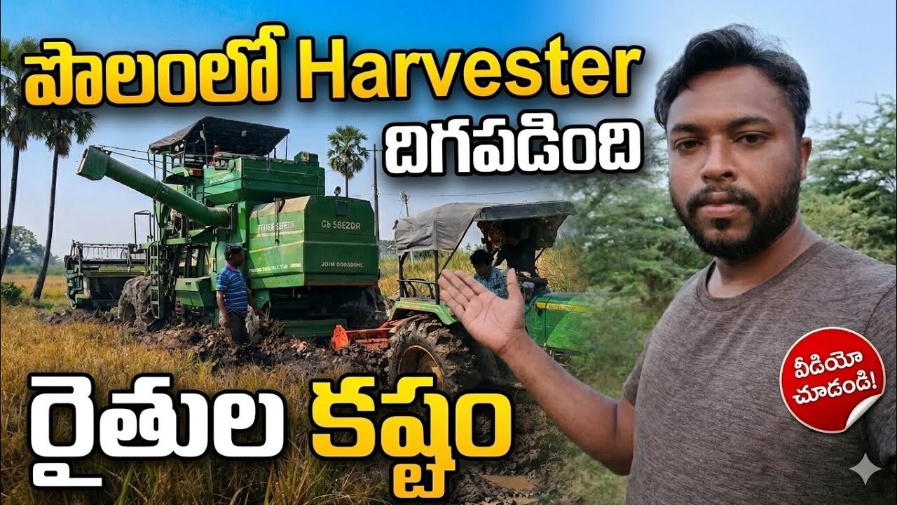 Harvester Sunk in Mud! 🚜 Tractor Also Stuck | Village Farming