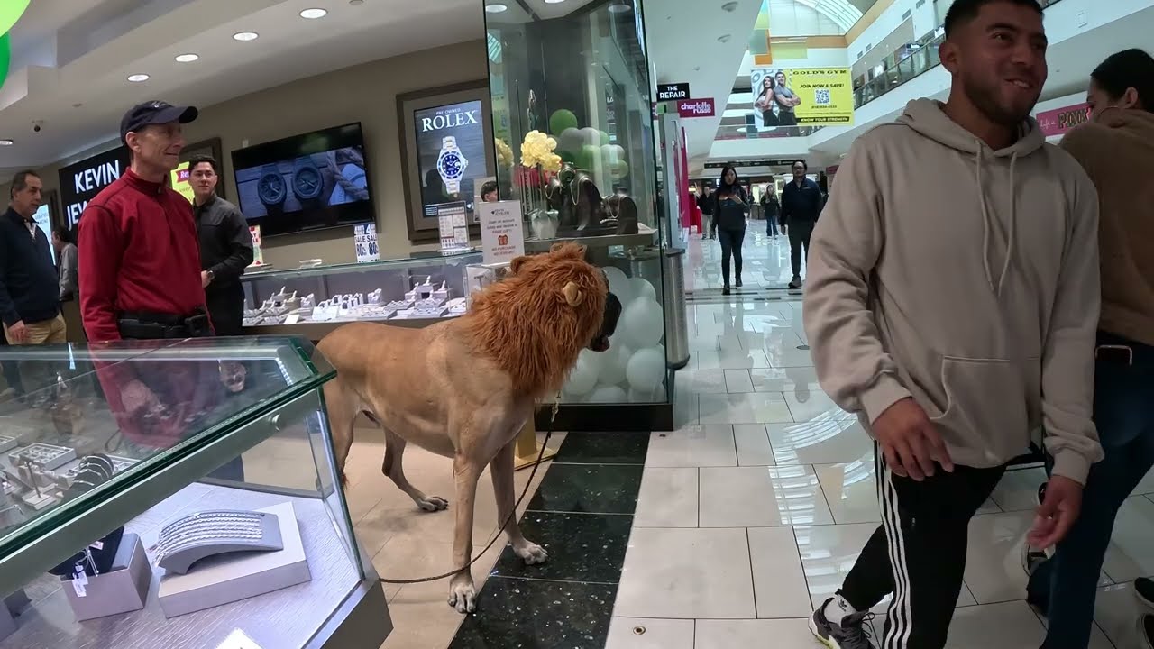 Cash 2.0 @ an Indoor Mall 2023 (2 of 4)