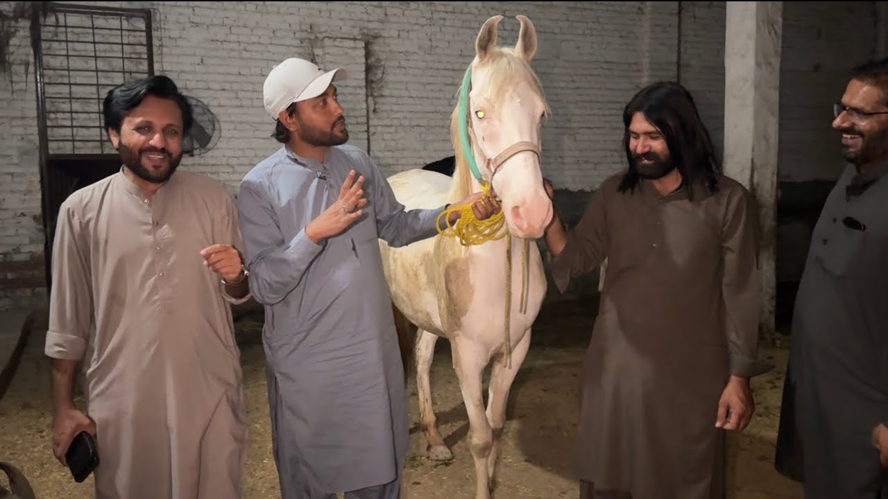 Finally Nukri Ghori Kharid Li! Alhamdulillah 🐎 😍🥰