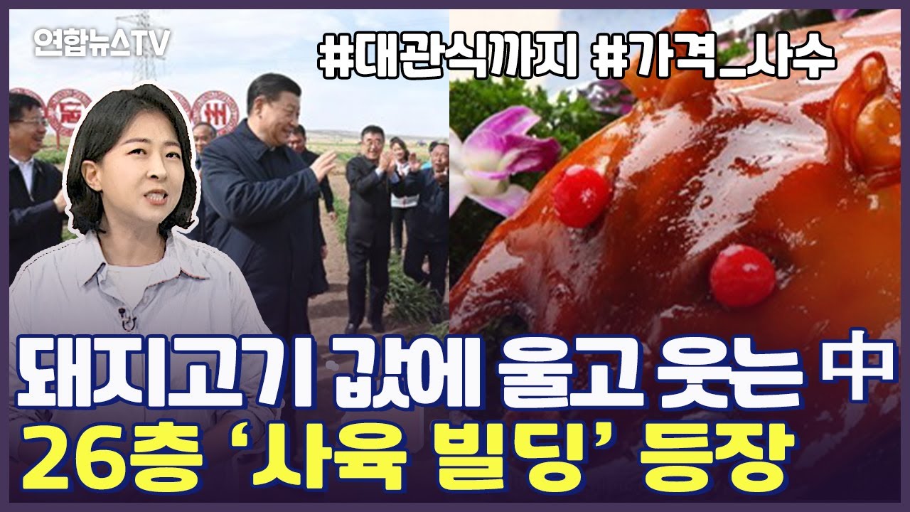 [세로뉴스] 돼지고깃값을 사수하라! 인플레 속 中 비상 / 연합뉴스TV (YonhapnewsTV)