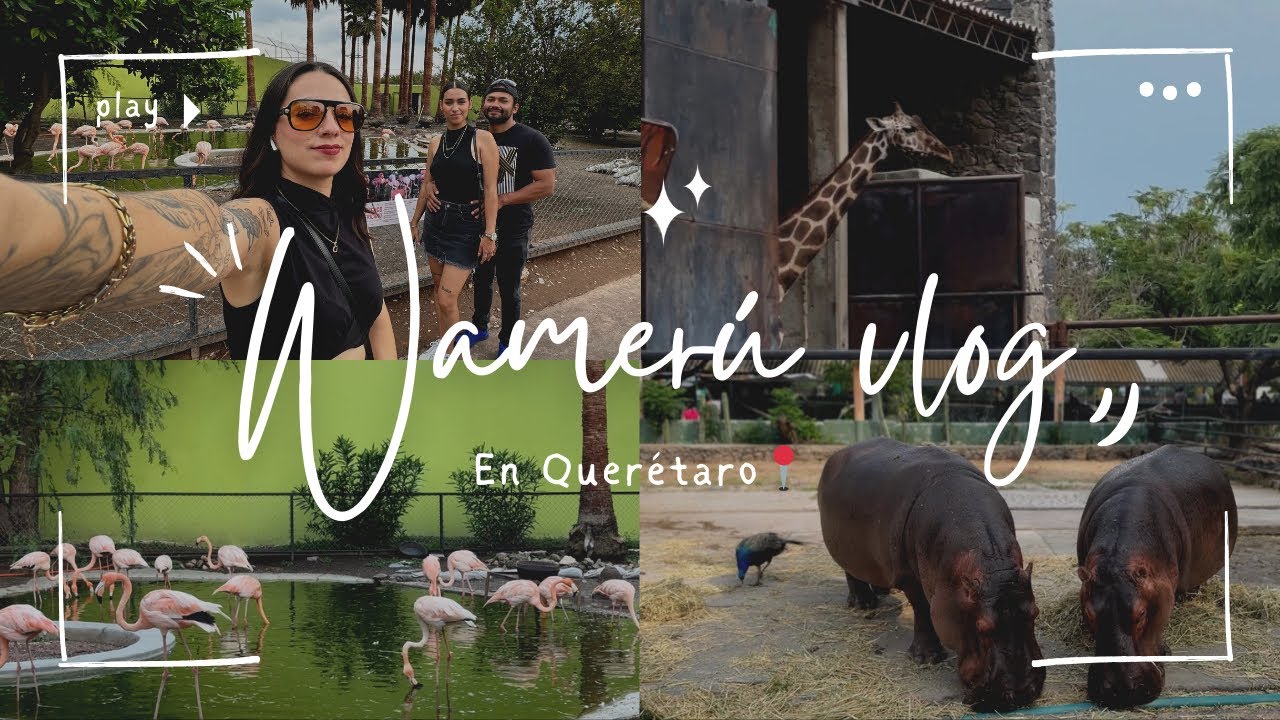 Visitando Wamerú Querétaro 📍🦒