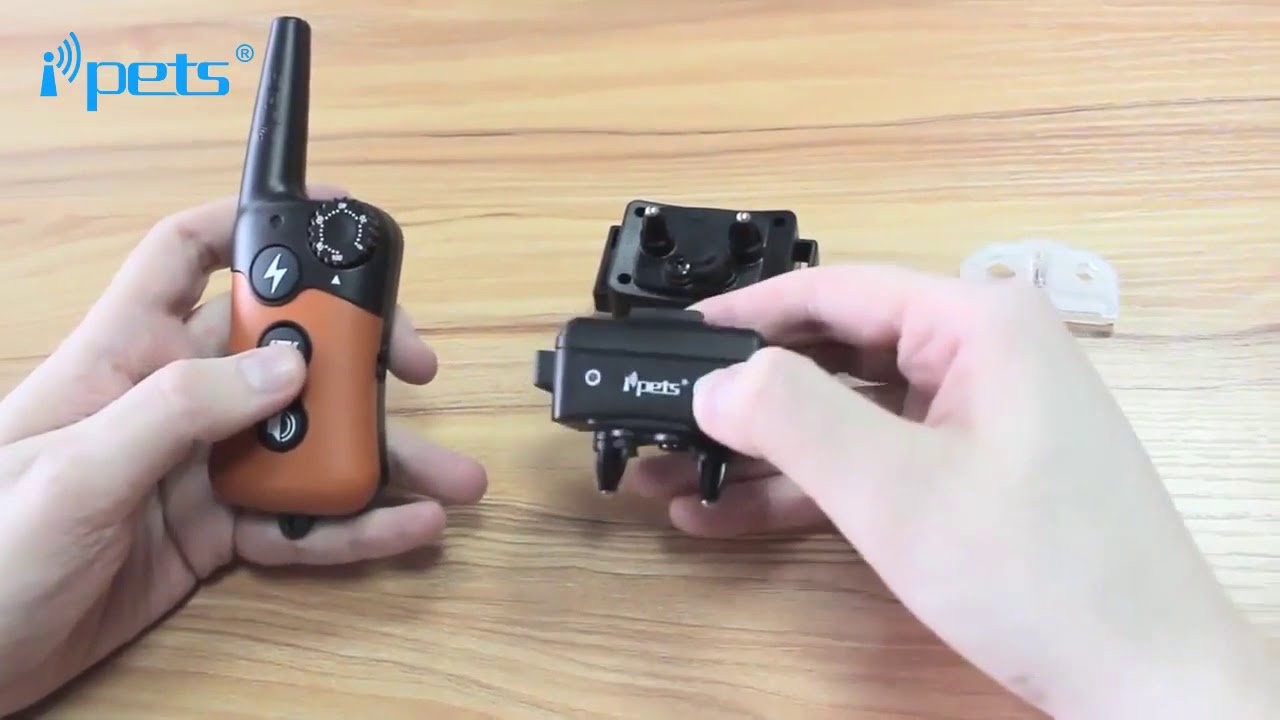 IPets PET619 2 Electronic Dog Training Collar   Introduction