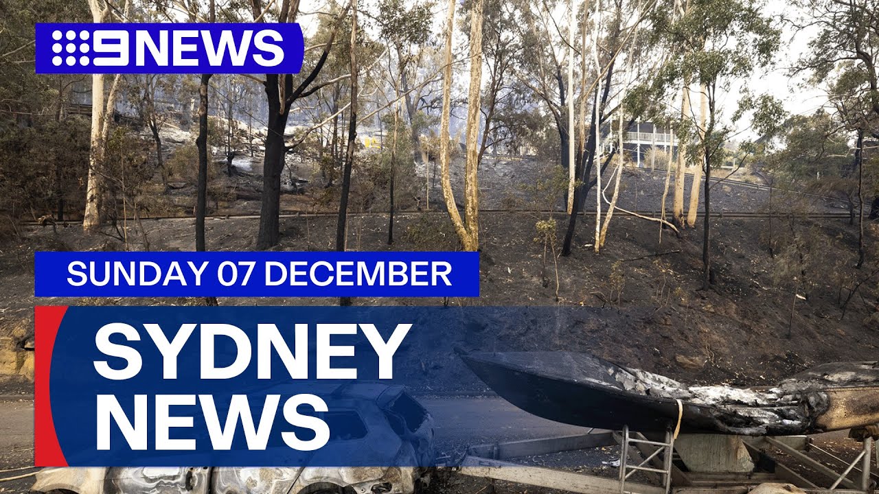 9News Sydney | Sunday December 7 | Full Episode