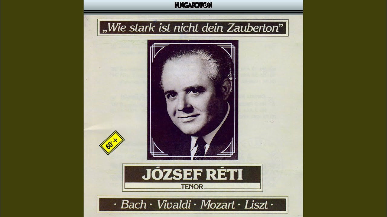 Johannes-Passion BWV 245: No. 19 Aria - Ach, mein Sinn