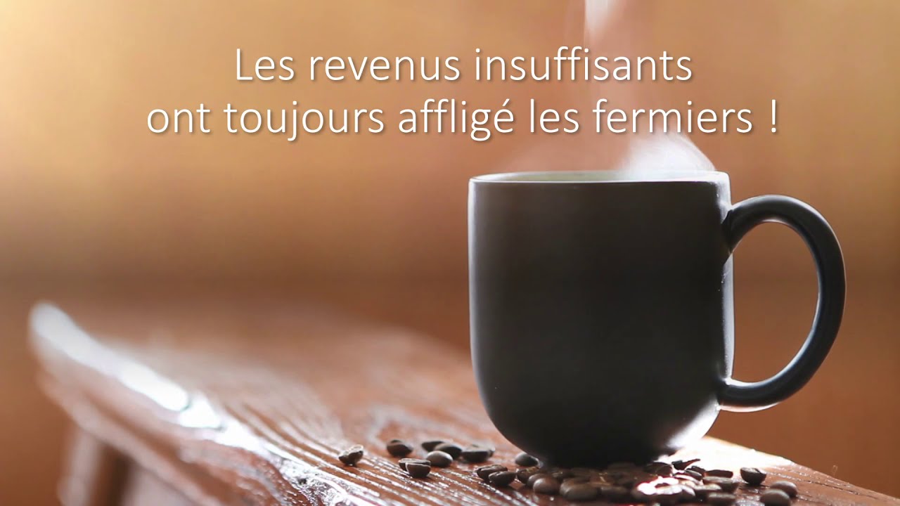 UNF-N.-B. pr&eacute;sente Dre. Susan Machum: Revenu agricole