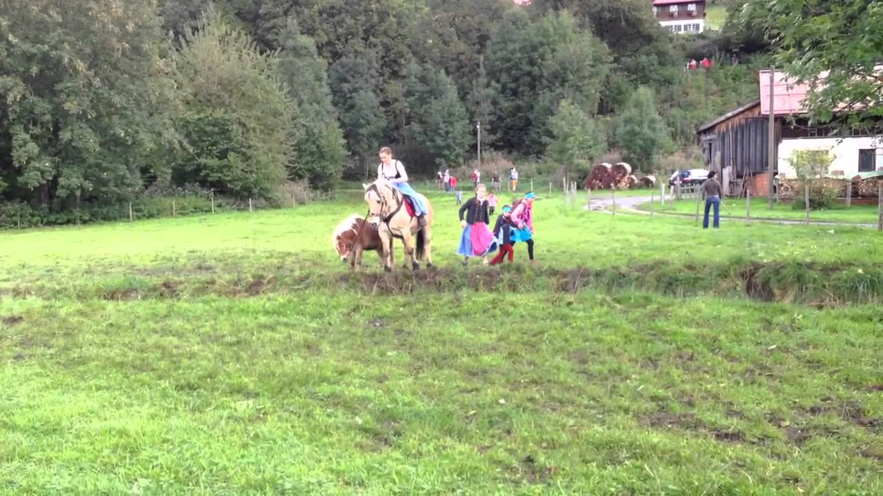 Viehscheid Oberstdorf 2014c