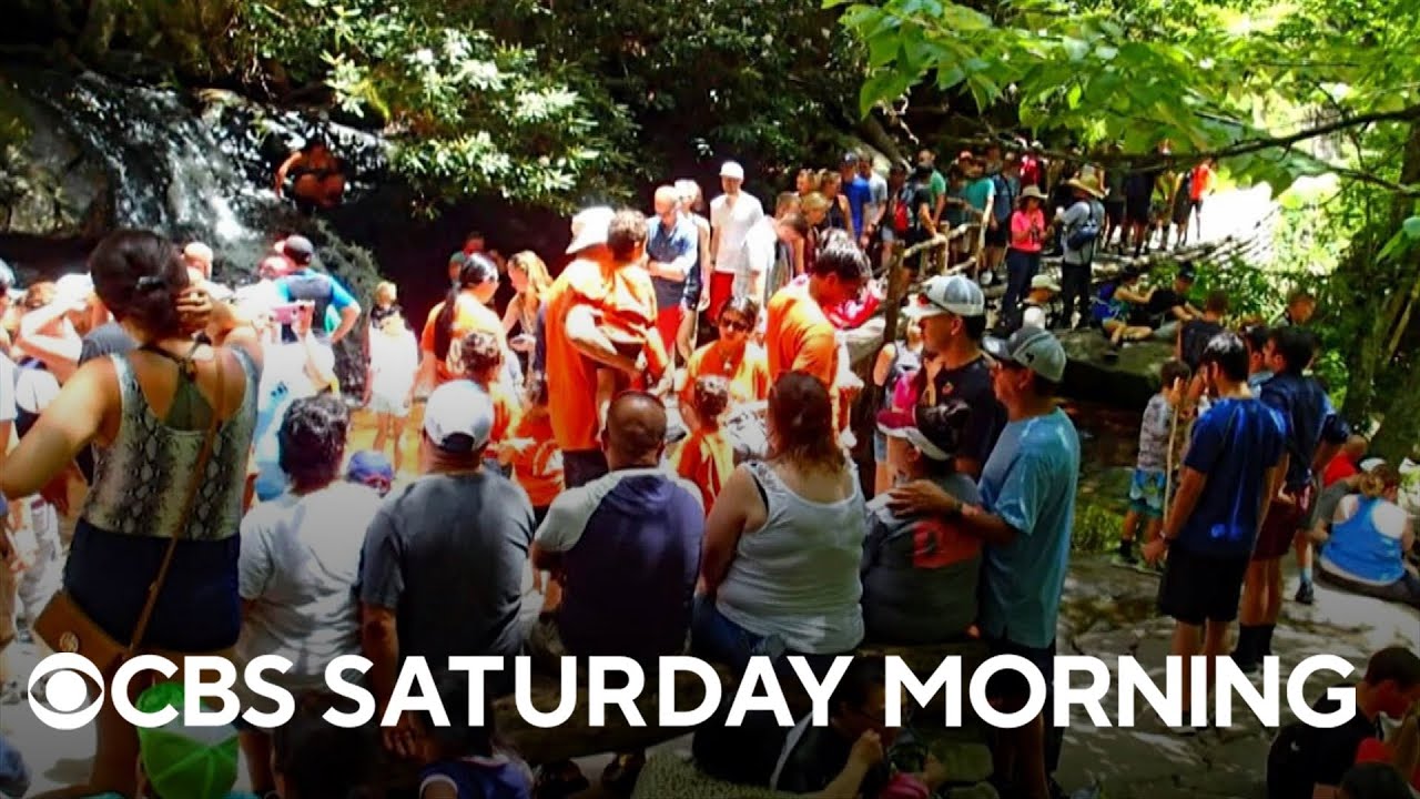 Record crowds at many national parks