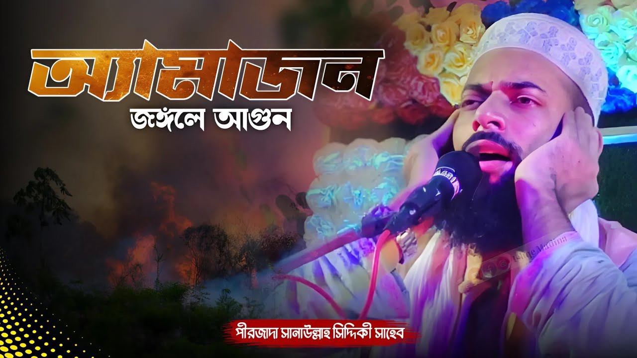 পীরজাদা সানাউল্লাহ সিদ্দিকীর ওয়াজ || অ্যামাজন জঙ্গলে আগুন || Sanaullah Siddiqui waz