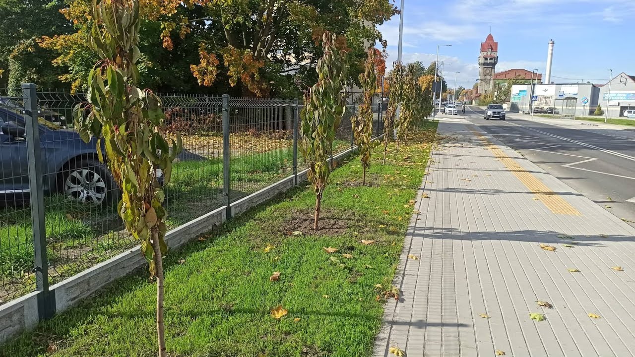 Wiadomości Lokalne z Krapkowic