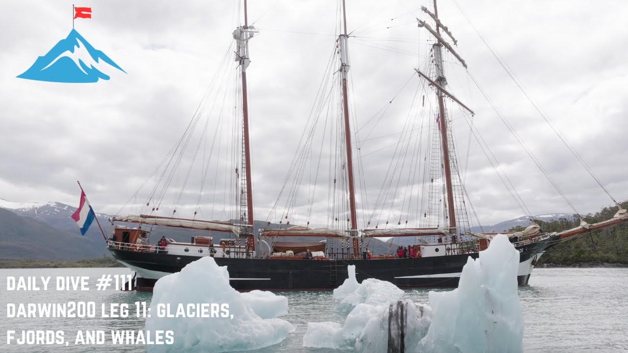 Daily Dive # 111 | Darwin200 Leg 11: Glaciers, Fjords, and Whales