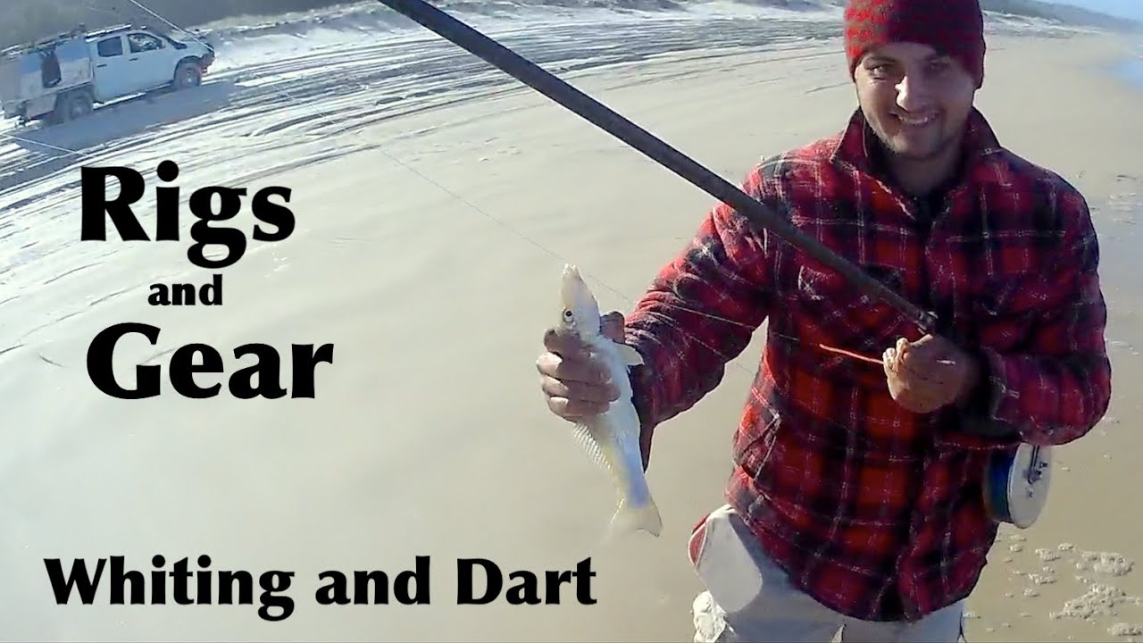 Beach RIGs and GEAR, we land a few whiting and dart and cover some of the gear used. Wayne Groomes