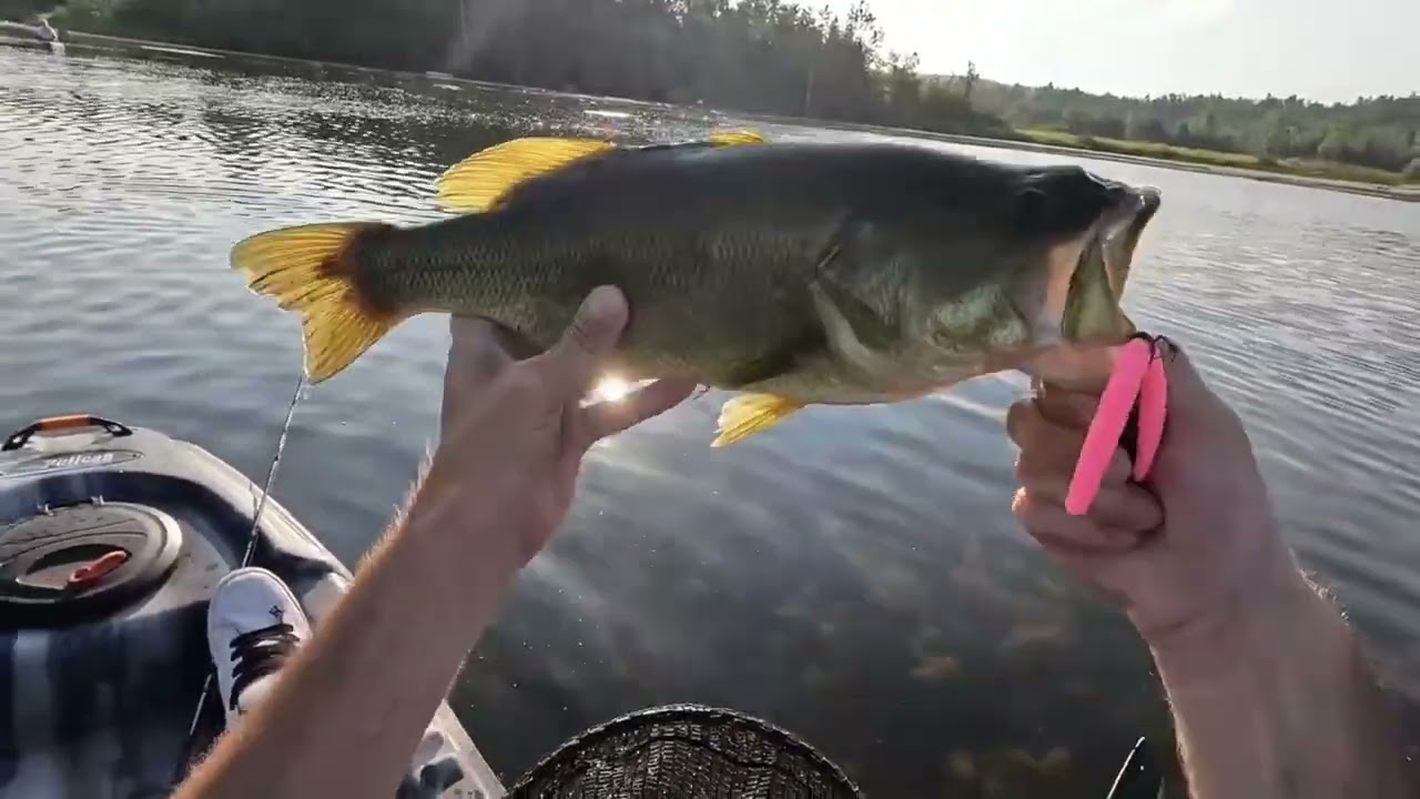 Best Bass Fishing Moments of 2025!  ONBassAngler Highlights