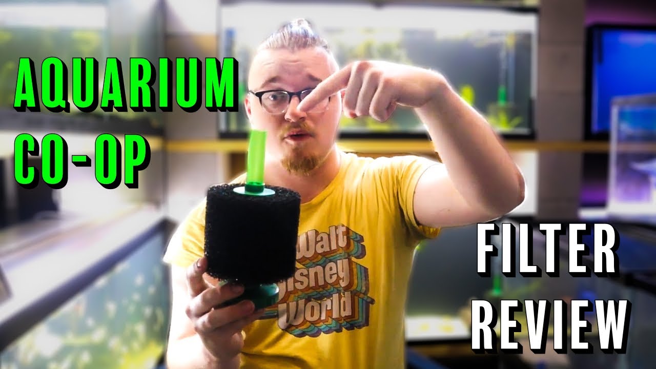 Aquarium Coop Sponge Filter Review