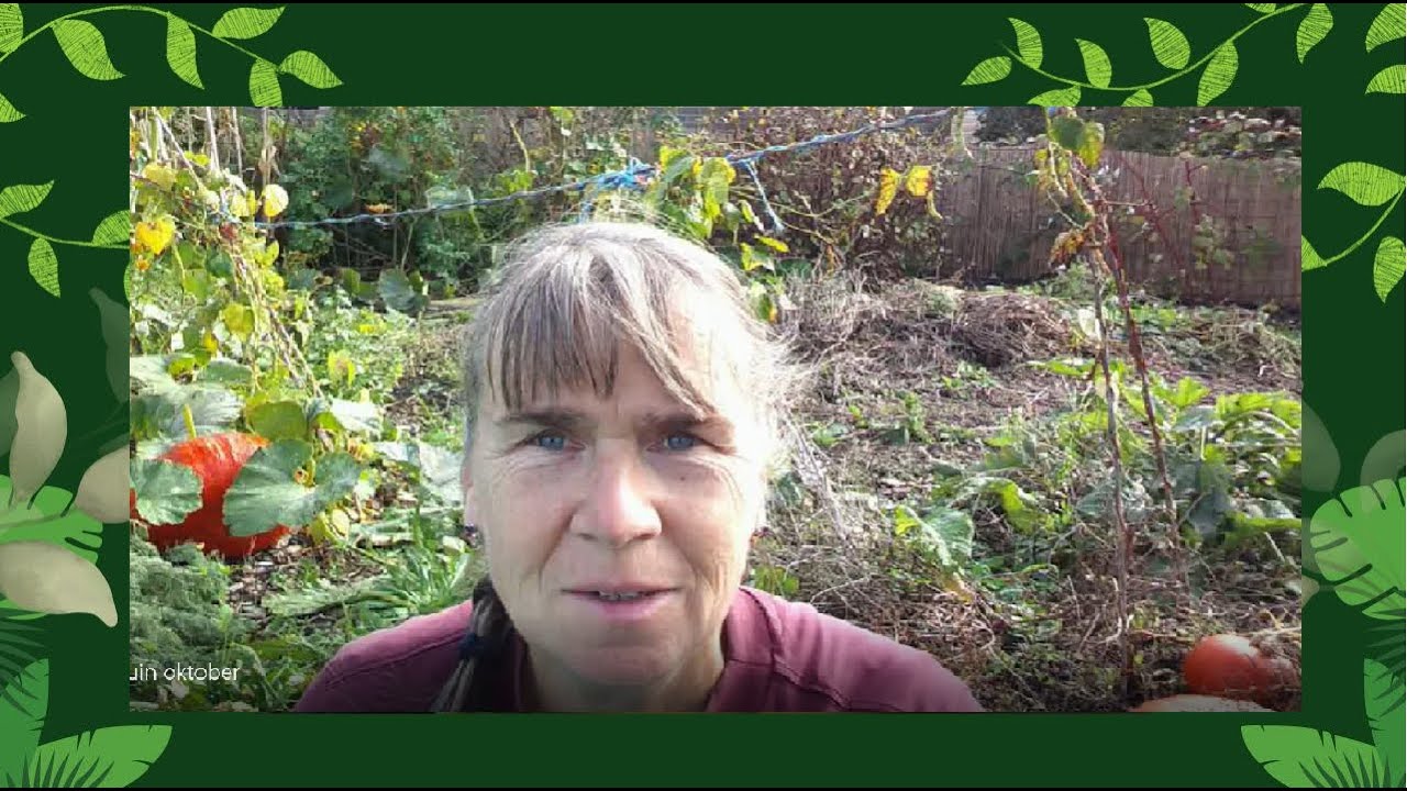 moestuin oktober | laatste oogst | winterklaar maken|