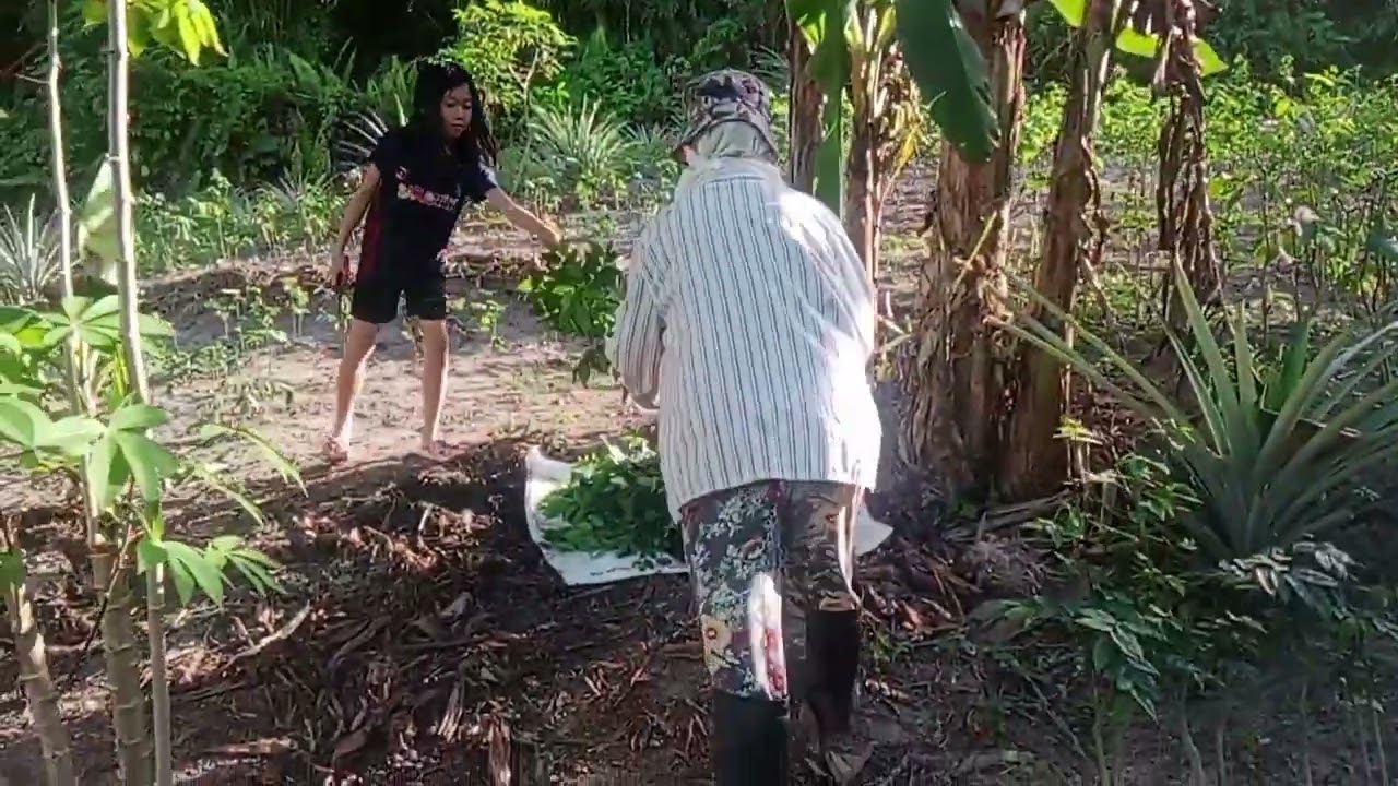 BALA UCU CUTI UJUNG MINGGU, BEJALAI NGAGAI KEBUN AKI.