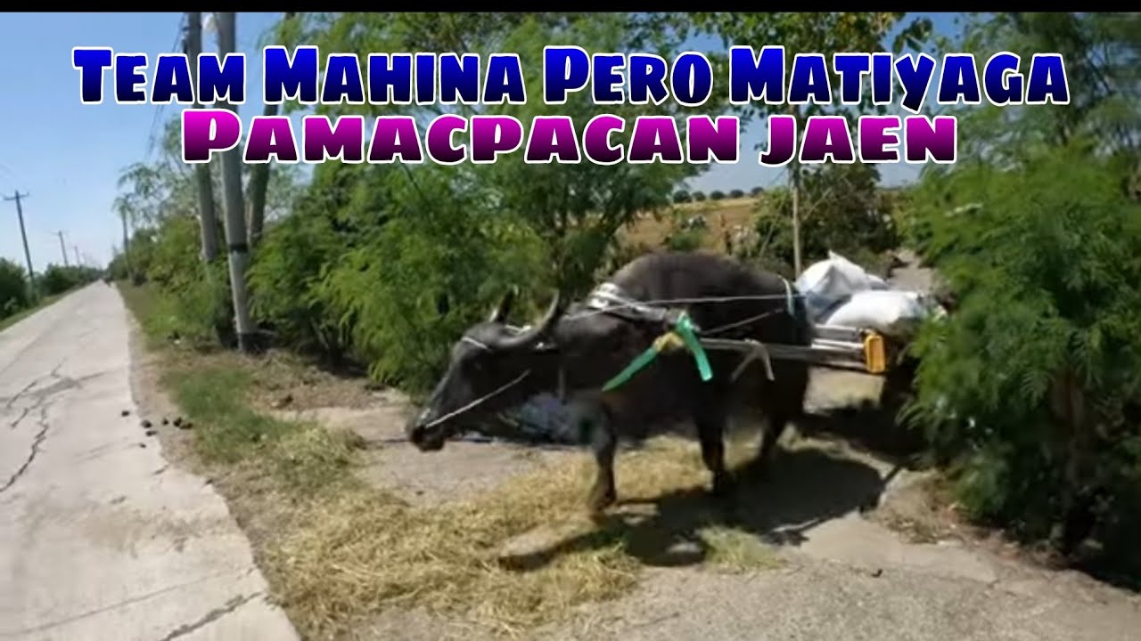 EP,627. Team Mahina Pero Matiyaga Pamacpacan jaen