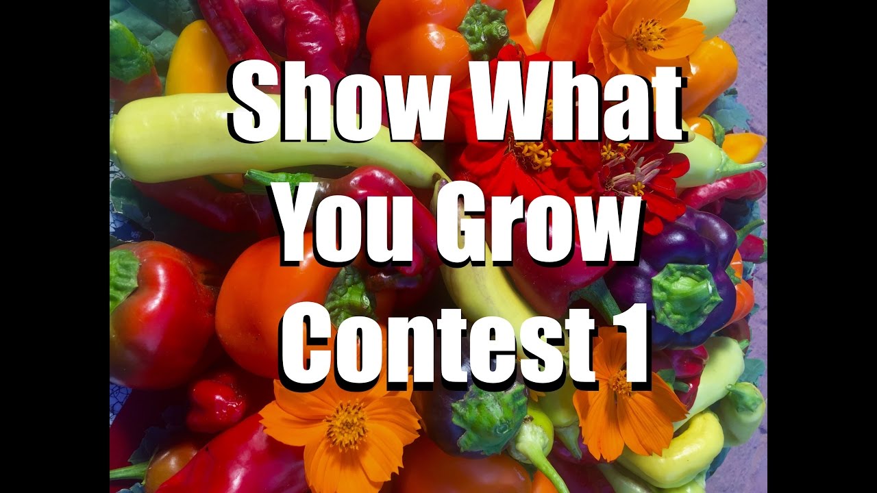 Show What You Grow - Instagram Contest  and Vegetable Garden Tips Series