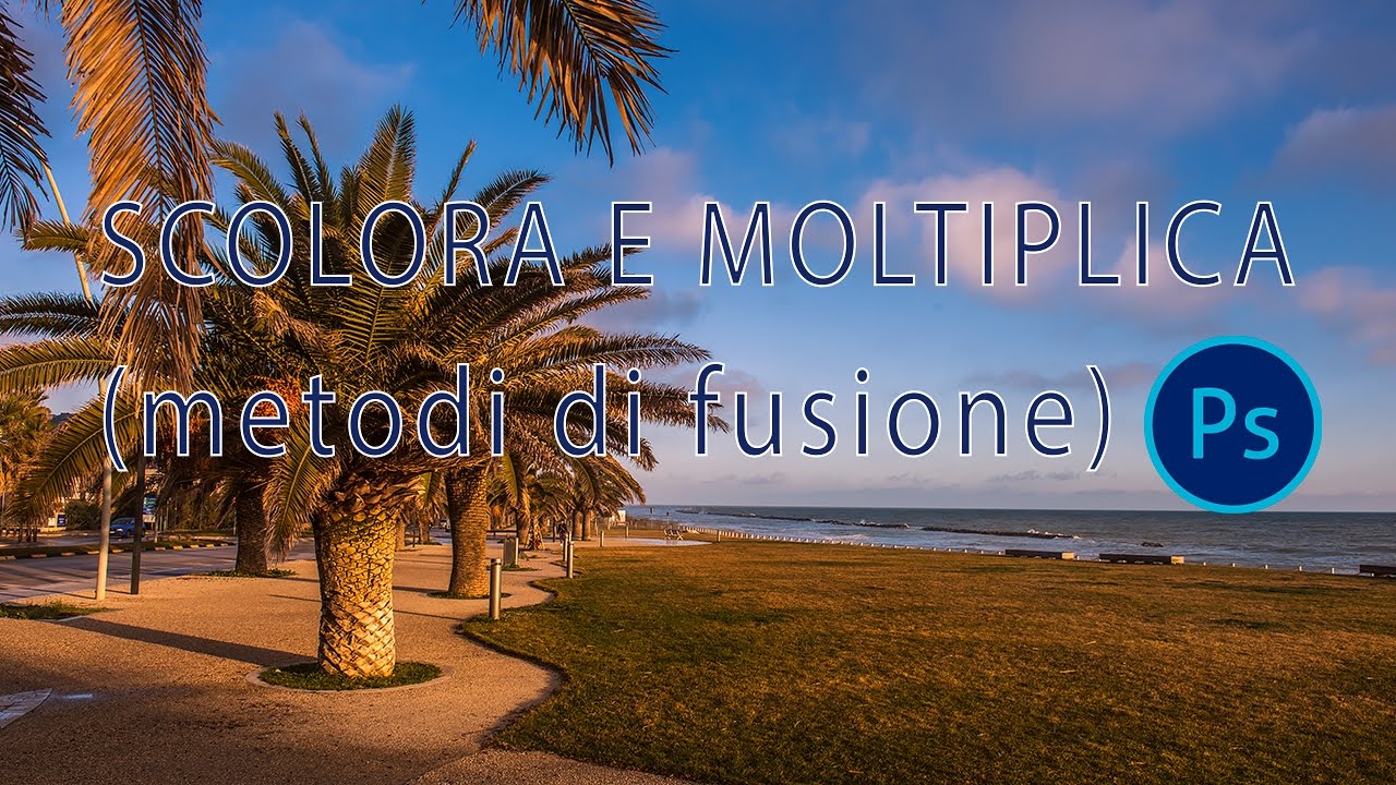 SCOLORA E MOLTIPLICA (metodi di fusione)