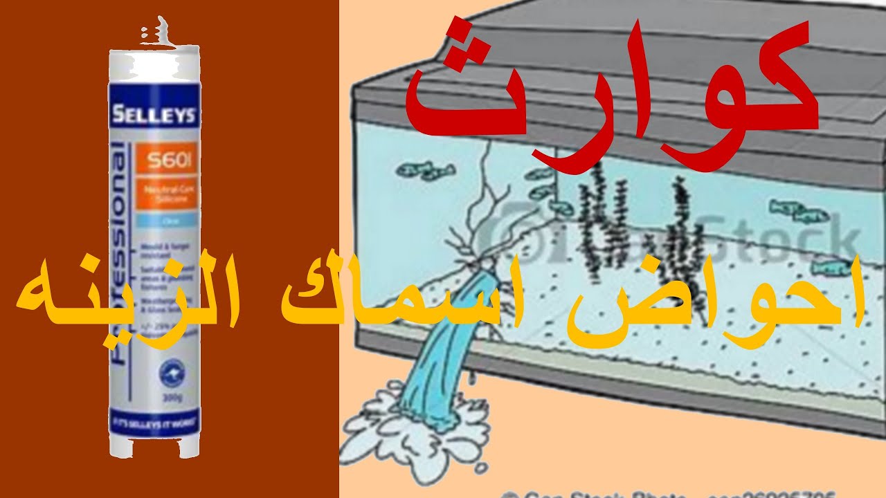 كوارث احواض اسماك الزينه