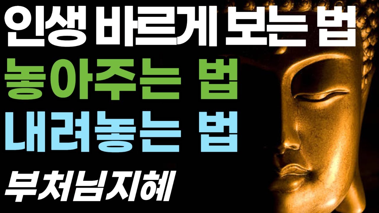 인생을 바르게 보는 법 마음 내려놓기 명상#마음내려놓기 #인생명상 #행복습관 #집착버리기  #평화로운마음 #감사명상 #복덕쌓기 #마음챙김   #자기성찰#삶의지혜  #내면의평화