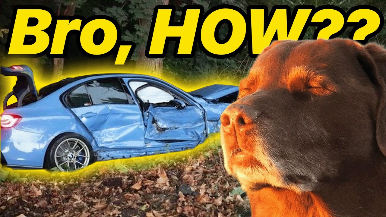 Car Guys Don't DESERVE Fast Cars